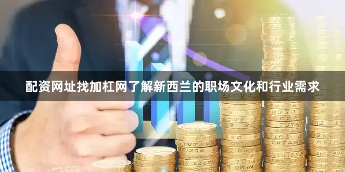 配资网址找加杠网了解新西兰的职场文化和行业需求