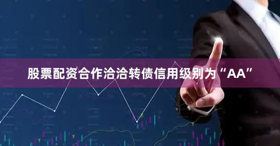 股票配资合作洽洽转债信用级别为“AA”